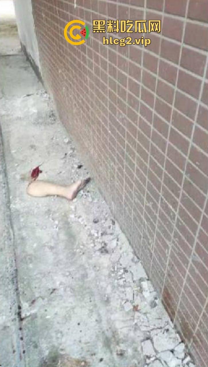 广西又来上分了！横州市财政所所长杀人分尸买最贵的双开门“冻”最爱心上人-11